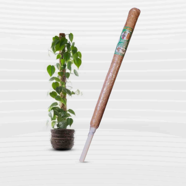 35 Inch Coir Grow Stick - 1Pcs
