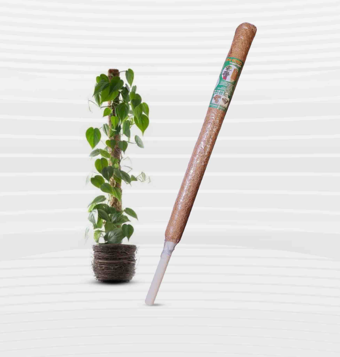 Screenshot_140 35 Inch Coir Grow Stick - 1Pcs - Image 1