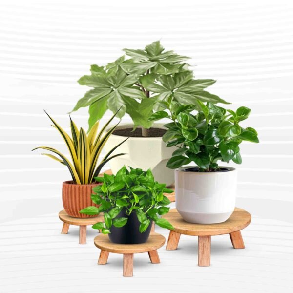 Wooden Plant Stand Set (3 Pcs Set)
